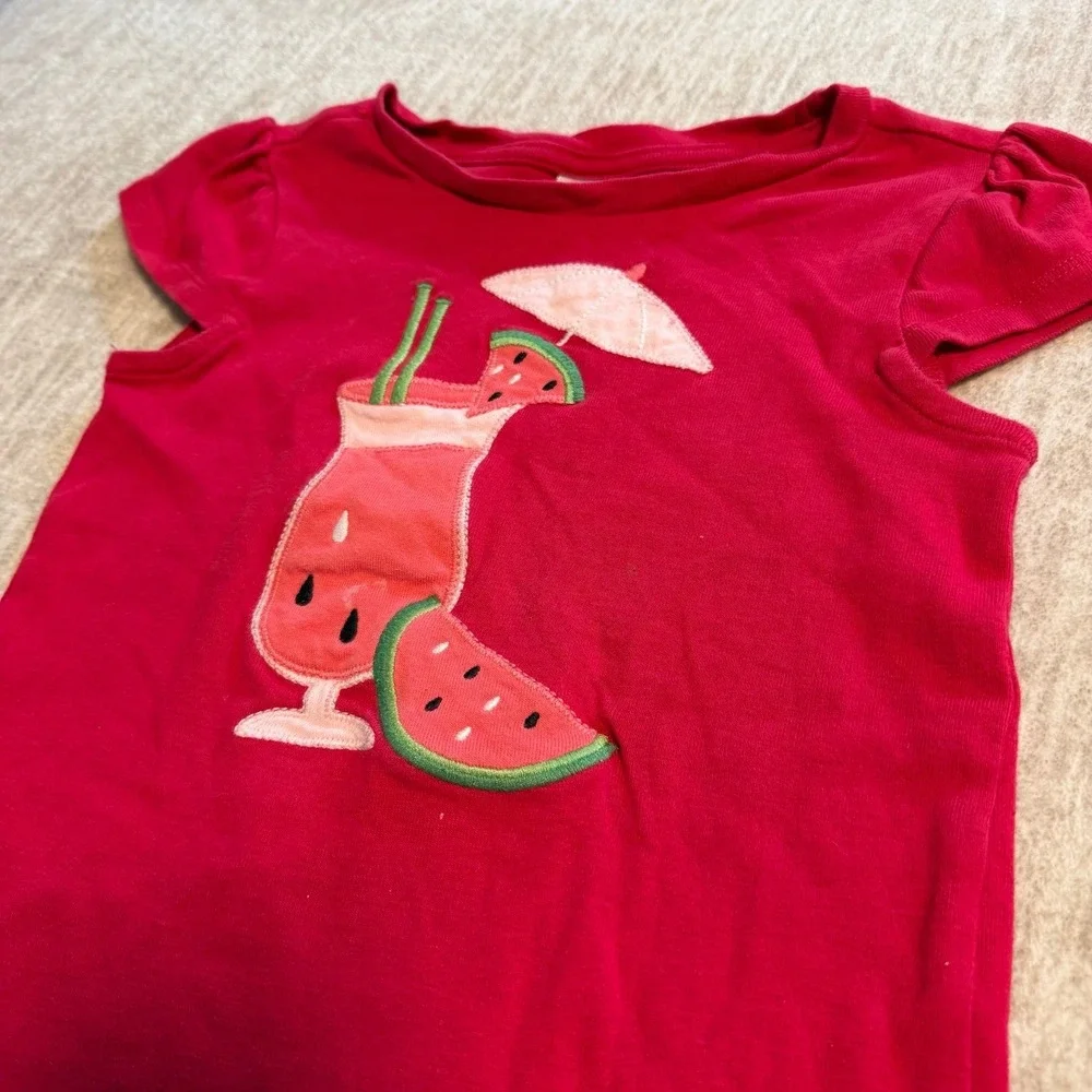 Gymboree Watermelon Outfit Set Girls Size 4T Denim Shorts Pink Top Summer